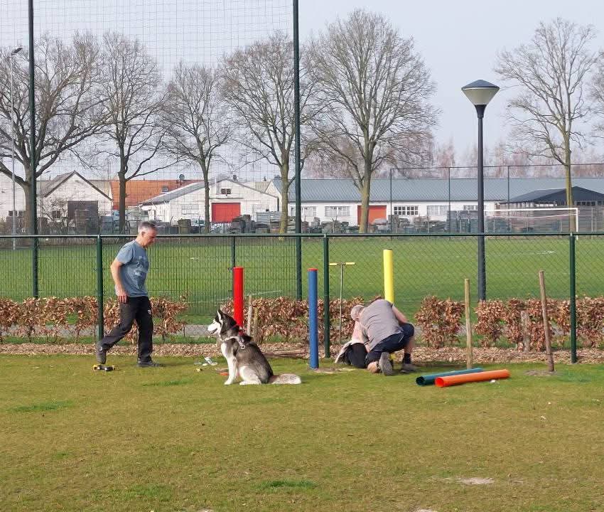 hondenspeelveld 7